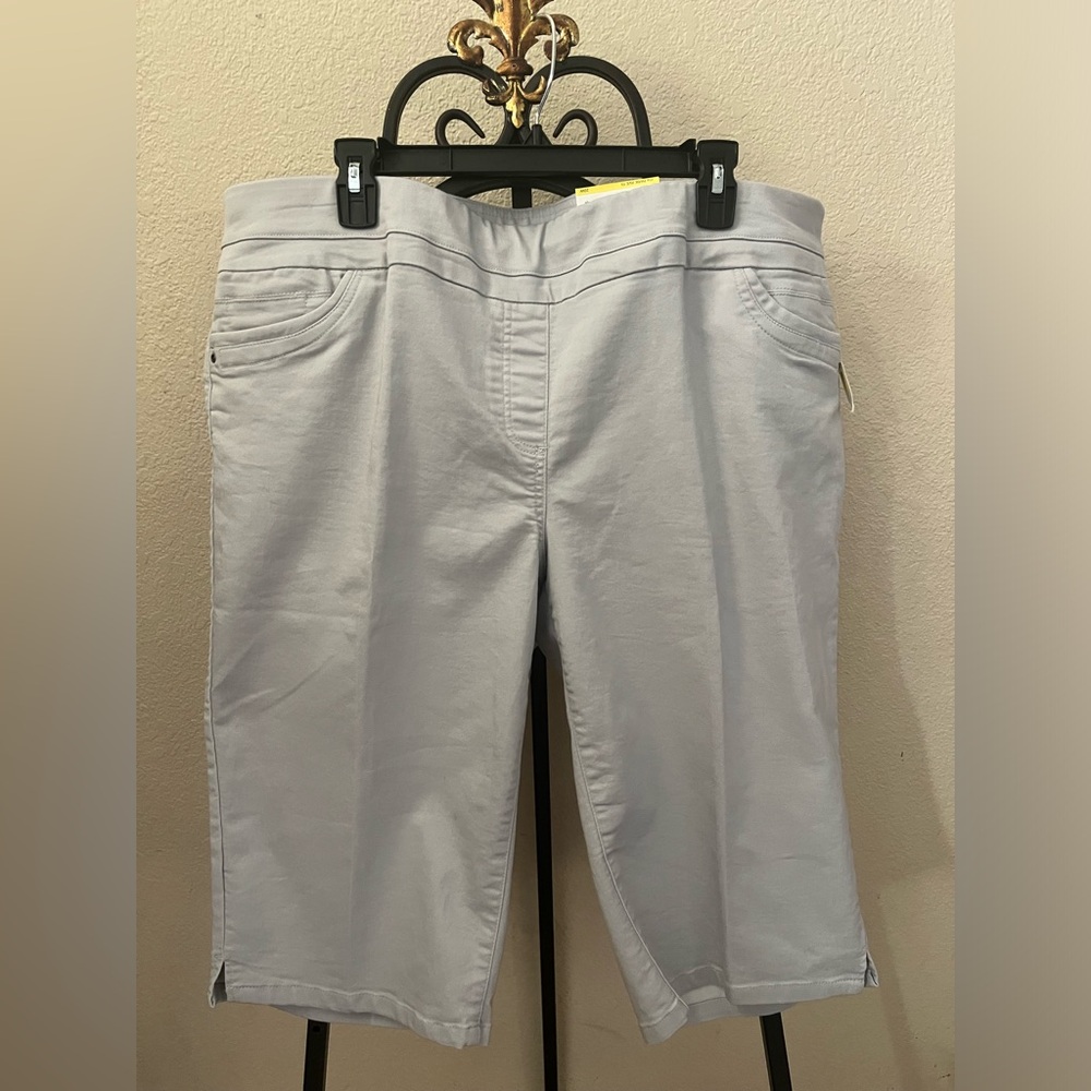 NWT Women's Westbound Woman Park Ave Fit Skimmer Shorts 20W